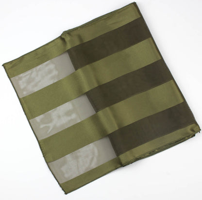 Plain satin scarf  striped